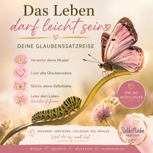 Glaubenssätze verstehen & verändern - digitales Produkt